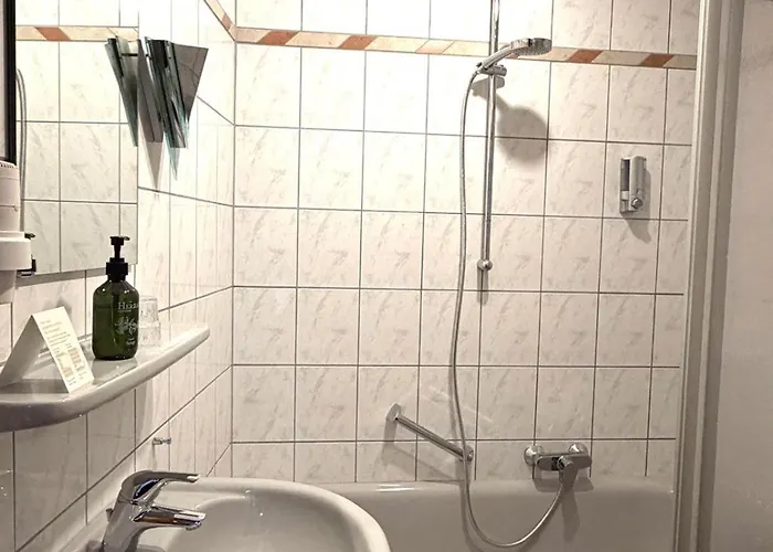 Hotel Bacharacher Hof 3*